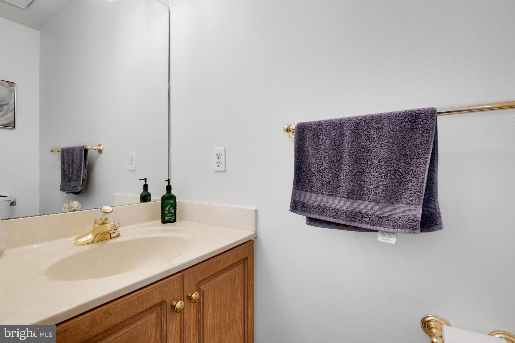 2348 Cold Meadow Way Silver Spring, MD 20906 - Photo 7 of 30 a bathroom with a sink and a mirror