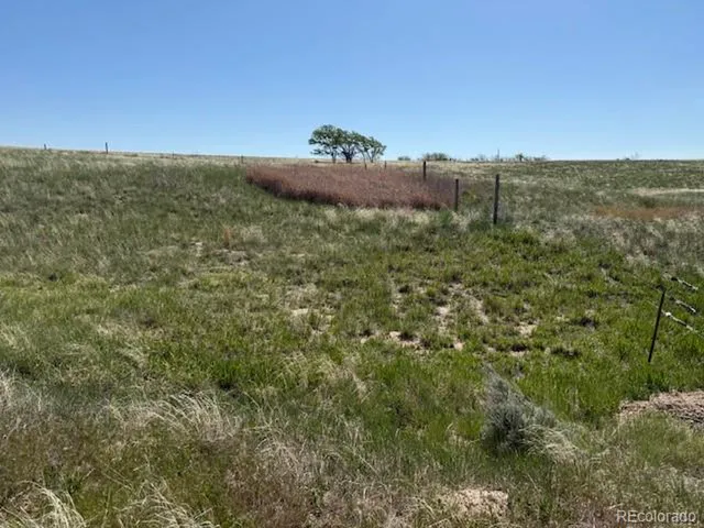 a view of a field with an ocean
