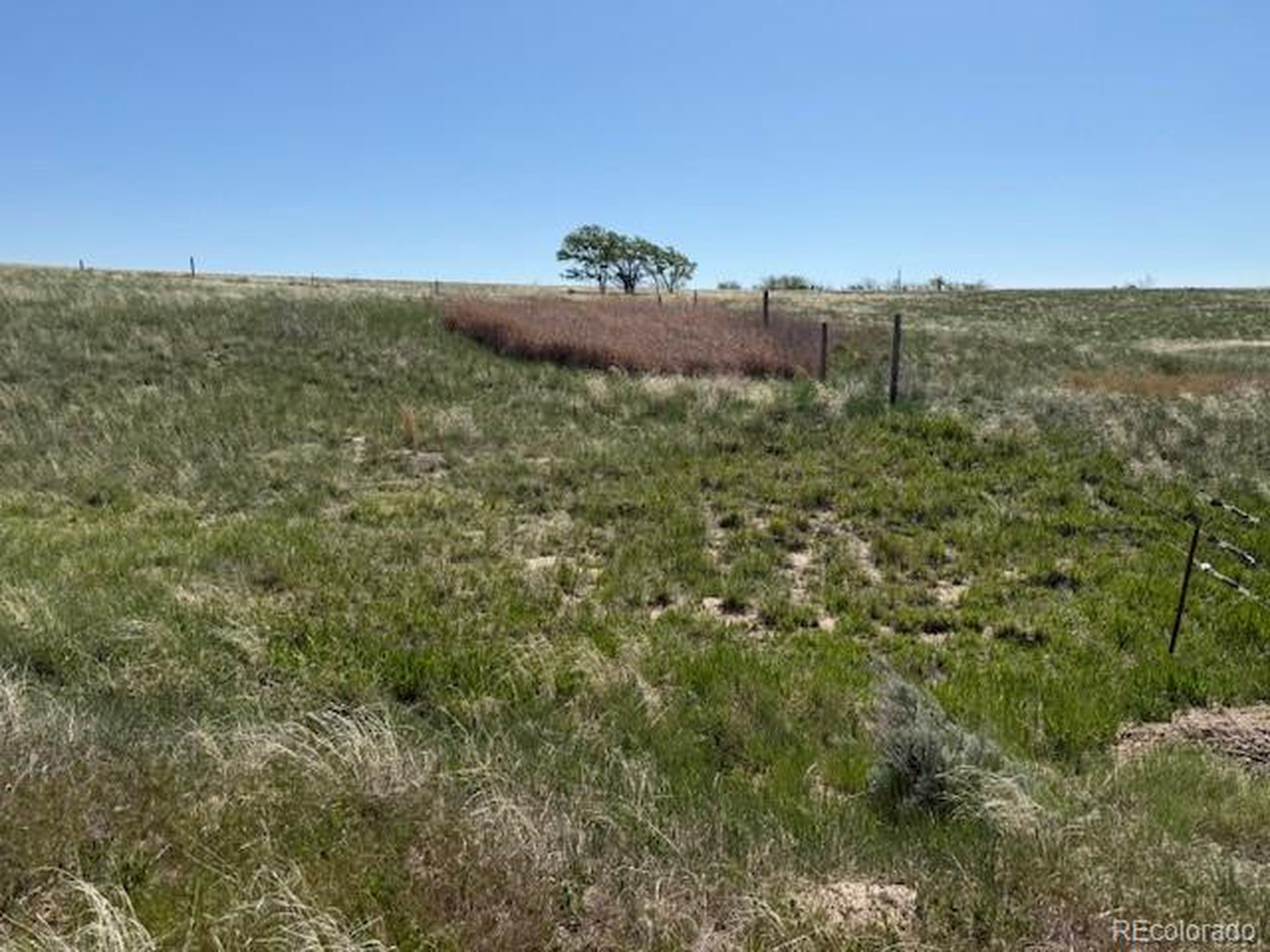 a view of a field with an ocean