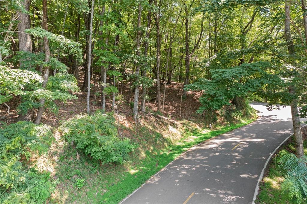 37 Petit Ridge Drive Big Canoe, GA 30143 - Photo 7 of 21 a backyard of a house with lots of green space and lake view