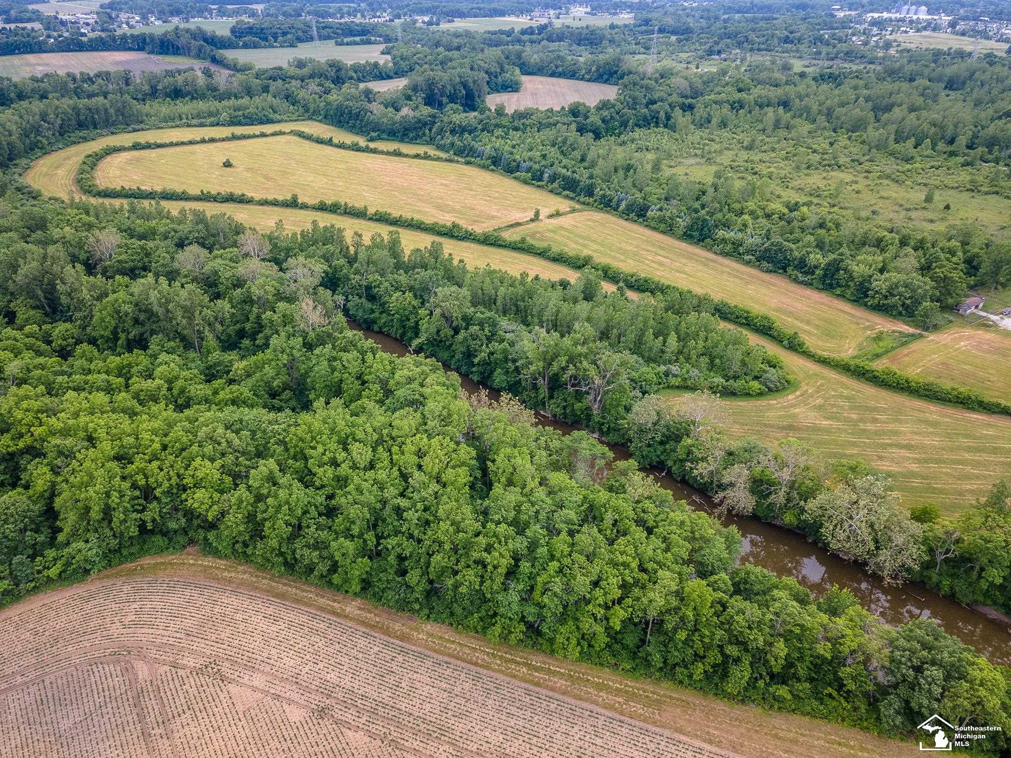 13999 Rightmire Road Dundee, MI 48131 - Photo 6 of 41