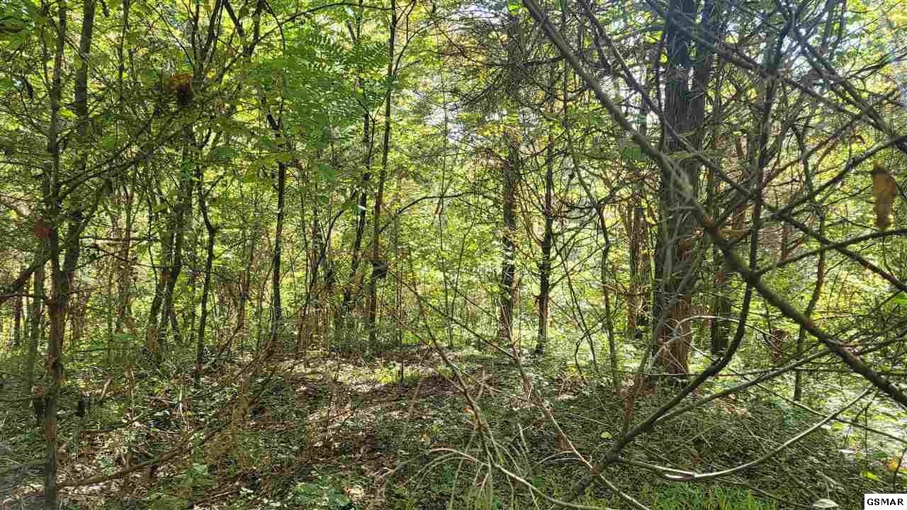 10 Sims Cemetery Road Sevierville, TN 37876 - Photo 2 of 15 a view of a yard