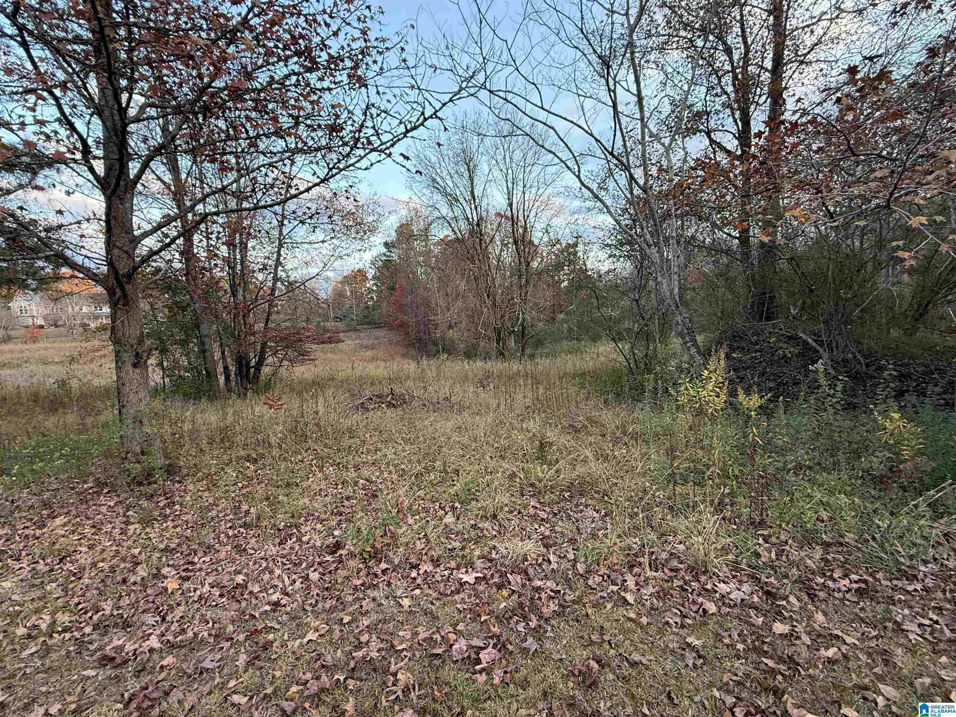 3 Spring Cove Road, Unit 3 Warrior, AL 35180 - Photo 5 of 8