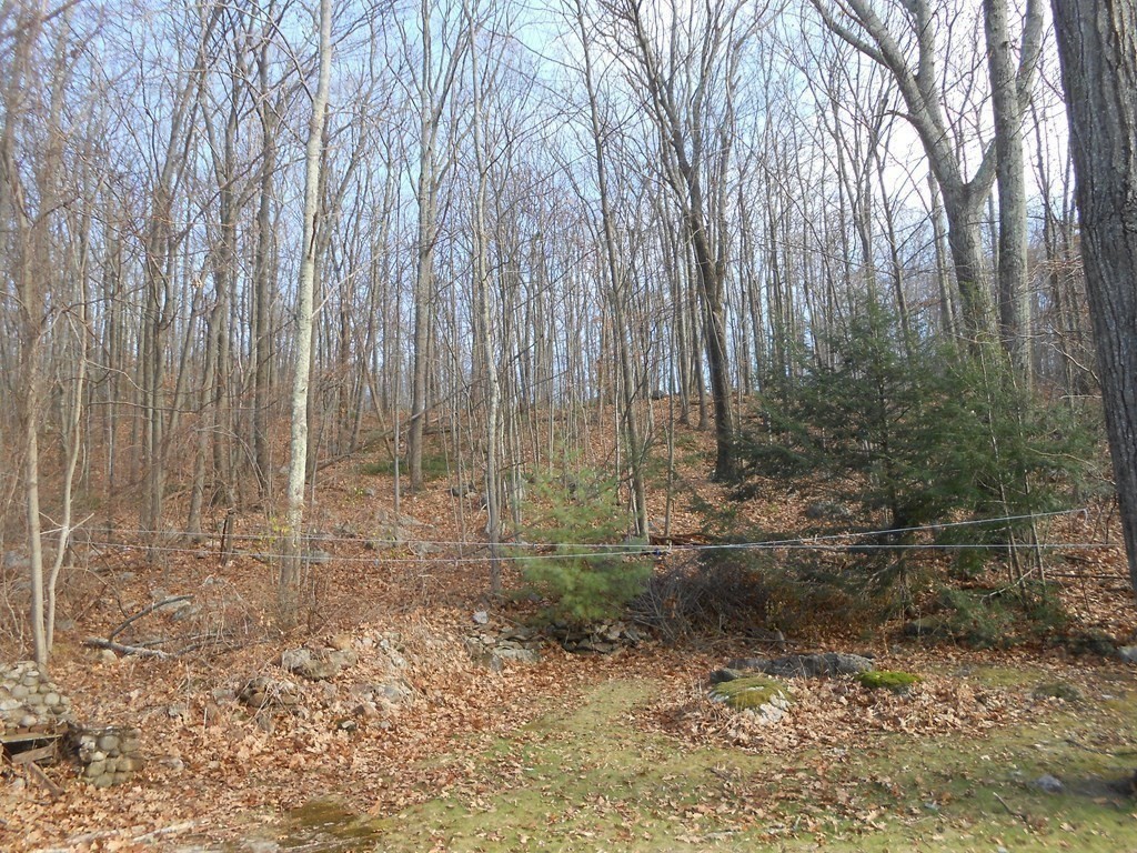 48 Dawson Road Worcester, MA 01602 - Photo 15 of 15 Gallery Image 15
