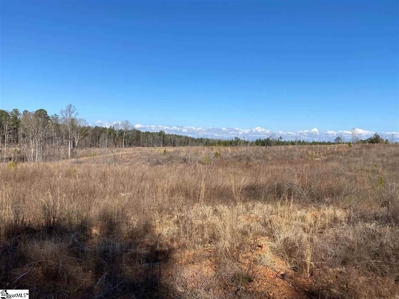 0 Hurricane Church Road Clinton, SC 29325 - Photo 2 of 27