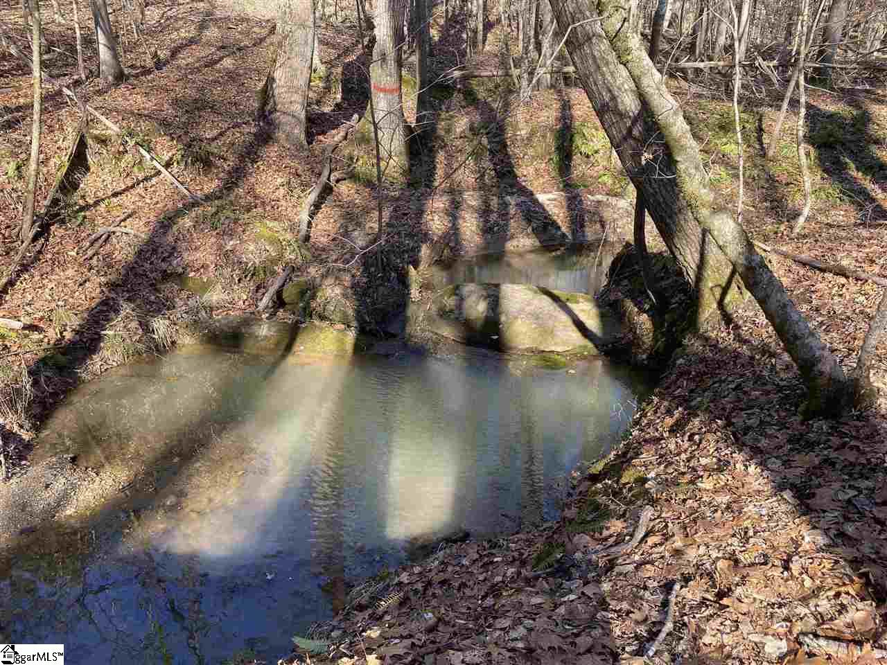 0 Hurricane Church Road Clinton, SC 29325 - Photo 11 of 27