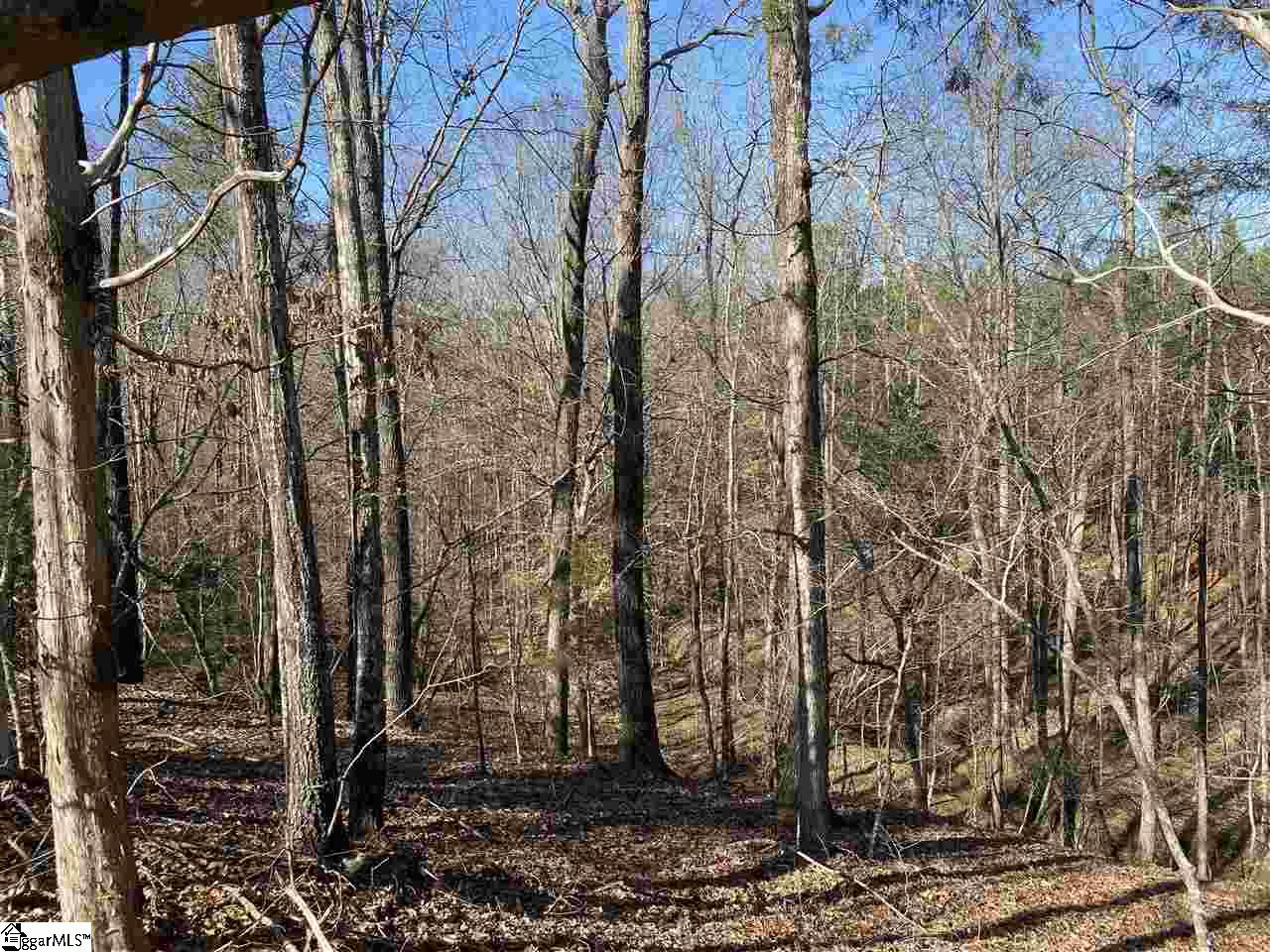 0 Hurricane Church Road Clinton, SC 29325 - Photo 12 of 27