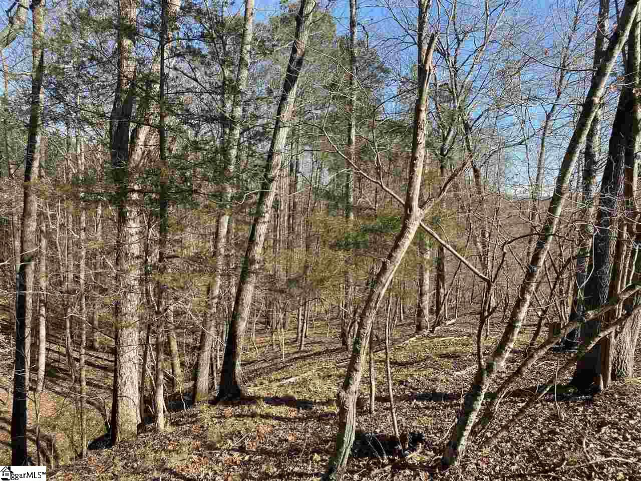 0 Hurricane Church Road Clinton, SC 29325 - Photo 13 of 27