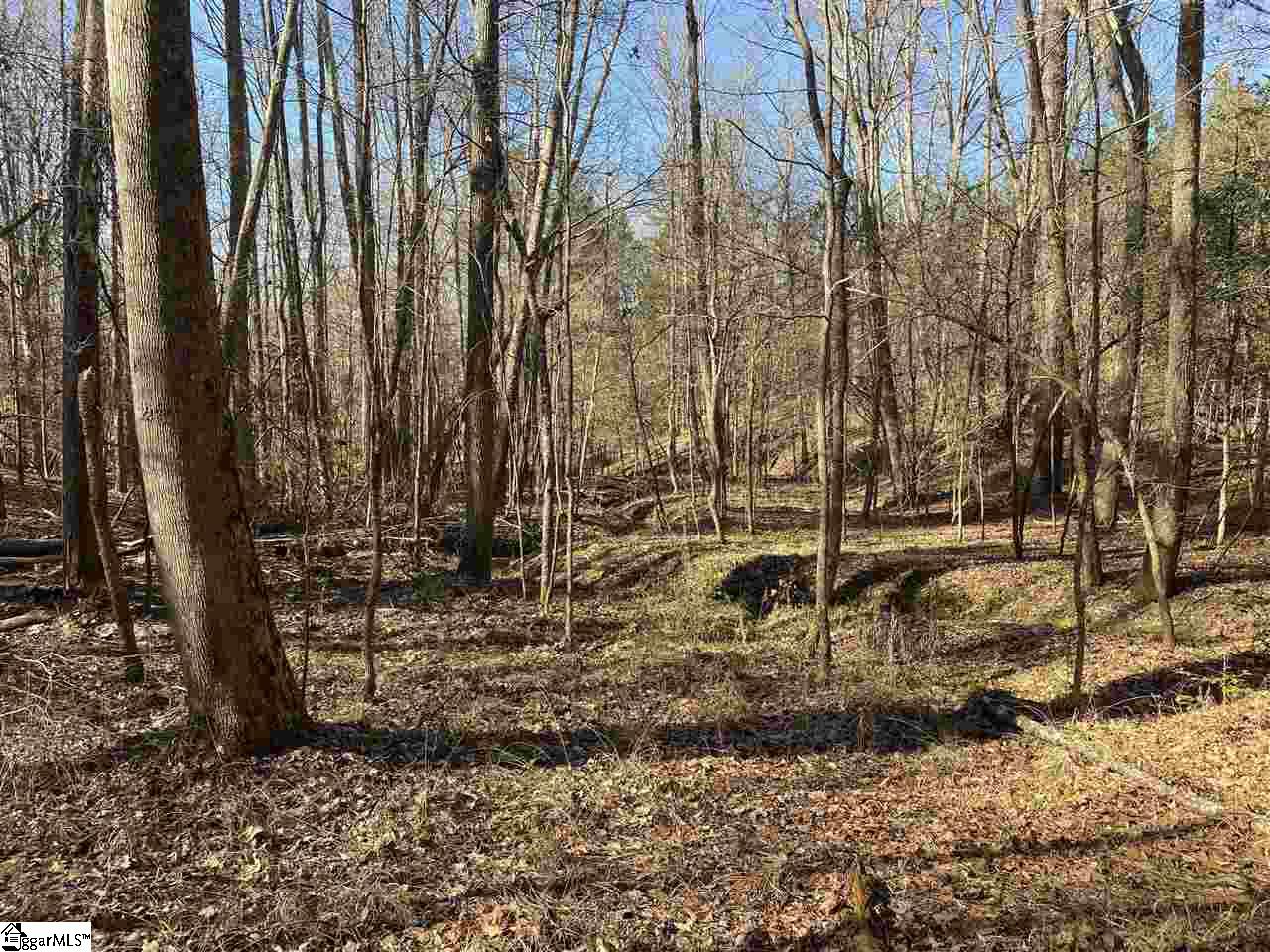 0 Hurricane Church Road Clinton, SC 29325 - Photo 14 of 27