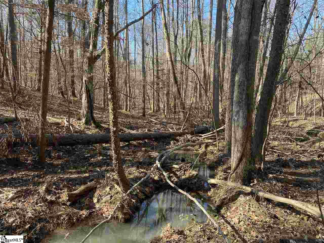 0 Hurricane Church Road Clinton, SC 29325 - Photo 16 of 27
