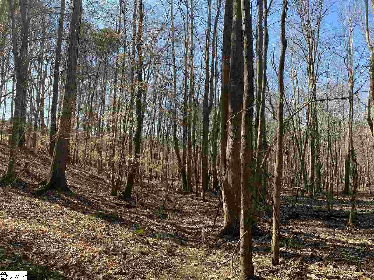 0 Hurricane Church Road Clinton, SC 29325 - Photo 17 of 27