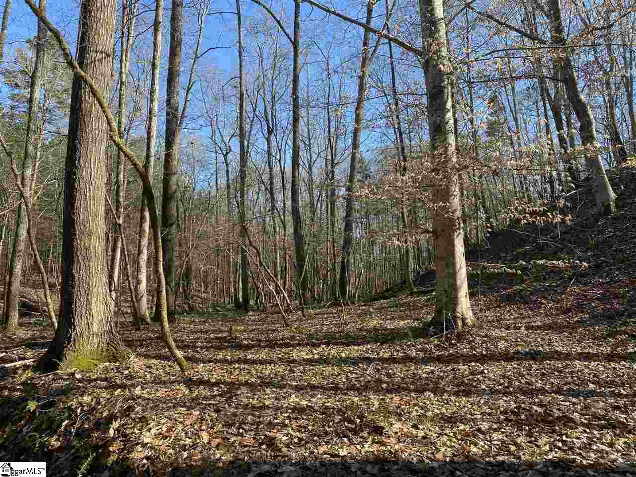 0 Hurricane Church Road Clinton, SC 29325 - Photo 18 of 27