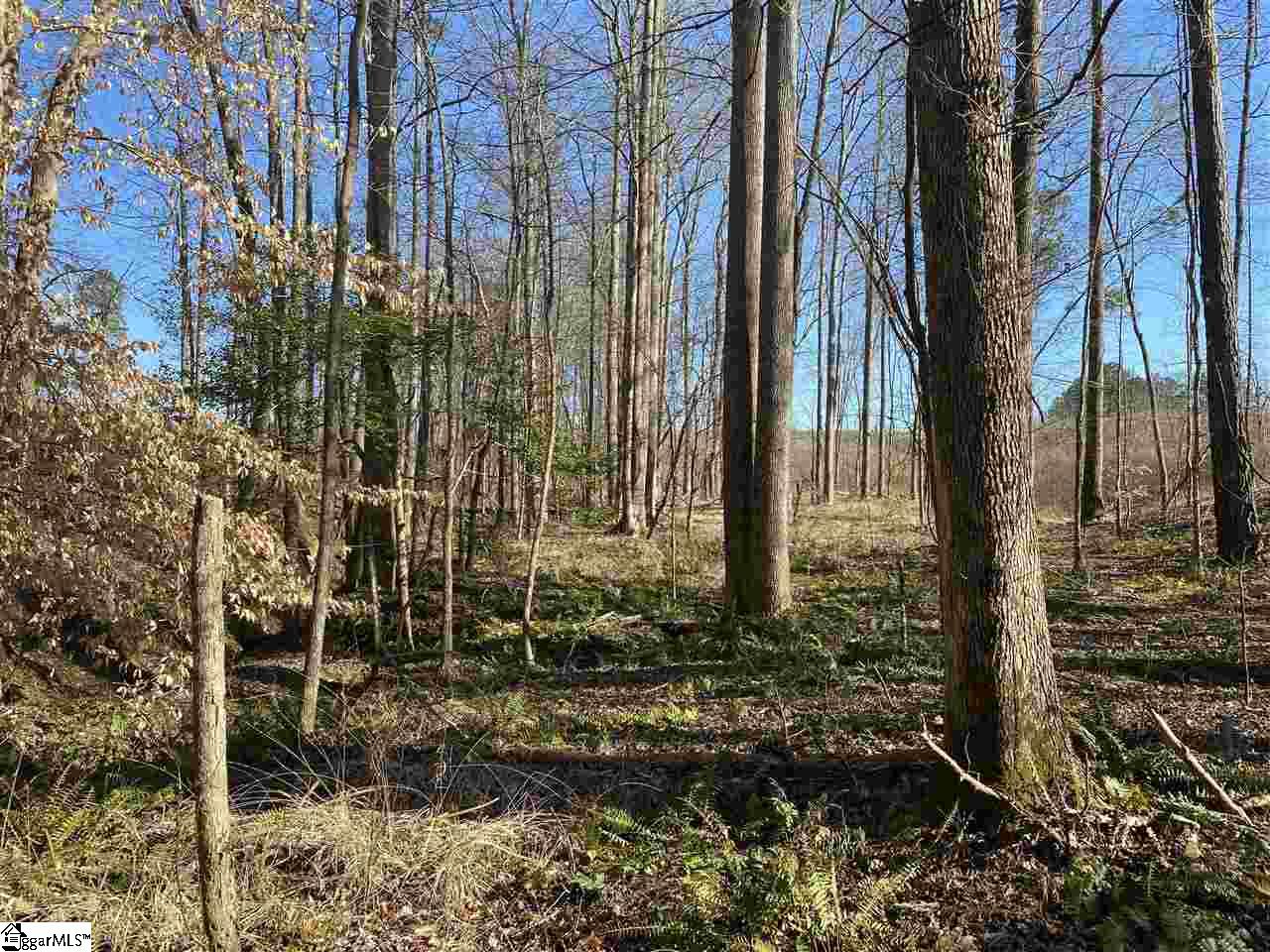 0 Hurricane Church Road Clinton, SC 29325 - Photo 20 of 27