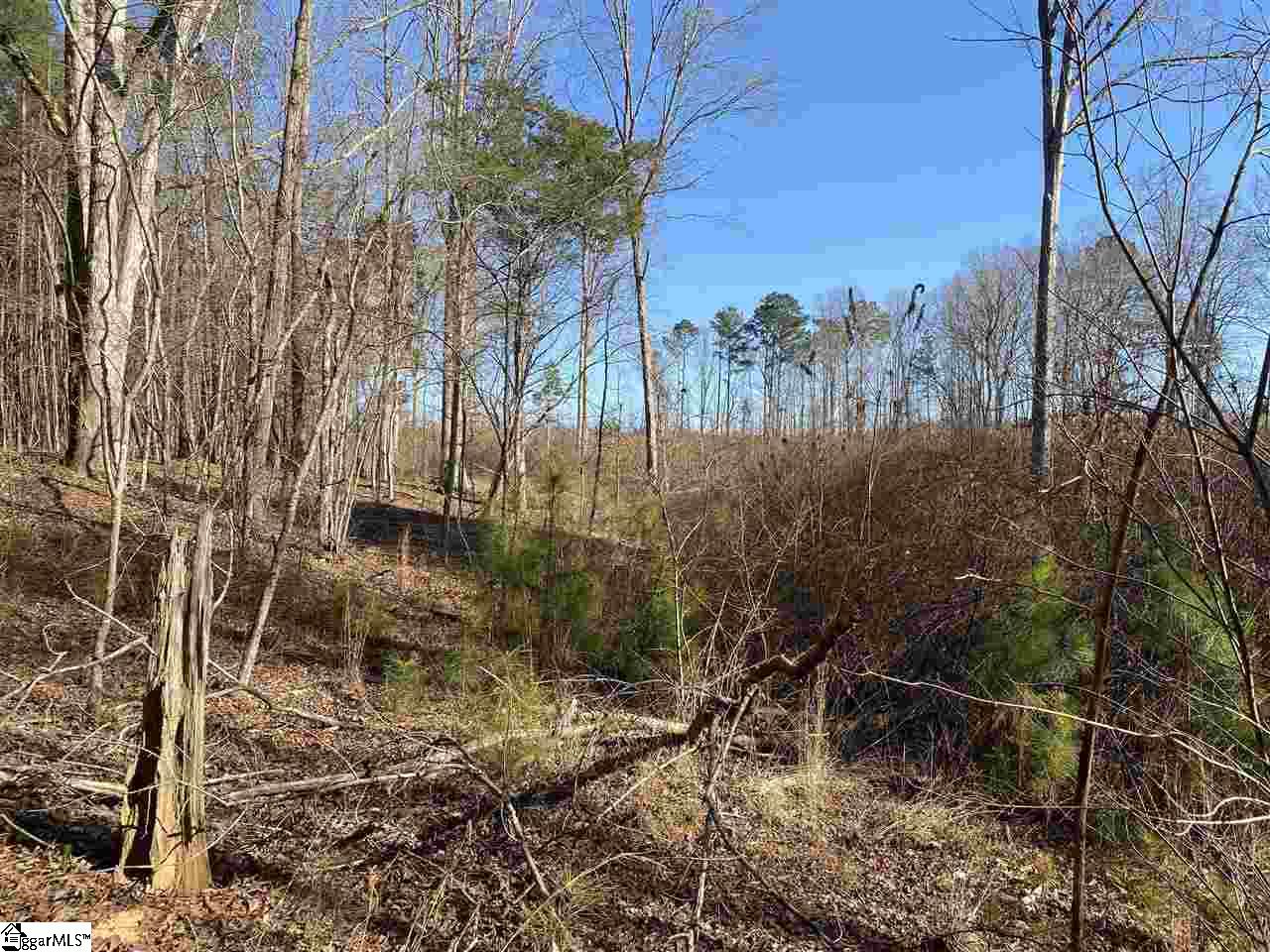 0 Hurricane Church Road Clinton, SC 29325 - Photo 22 of 27