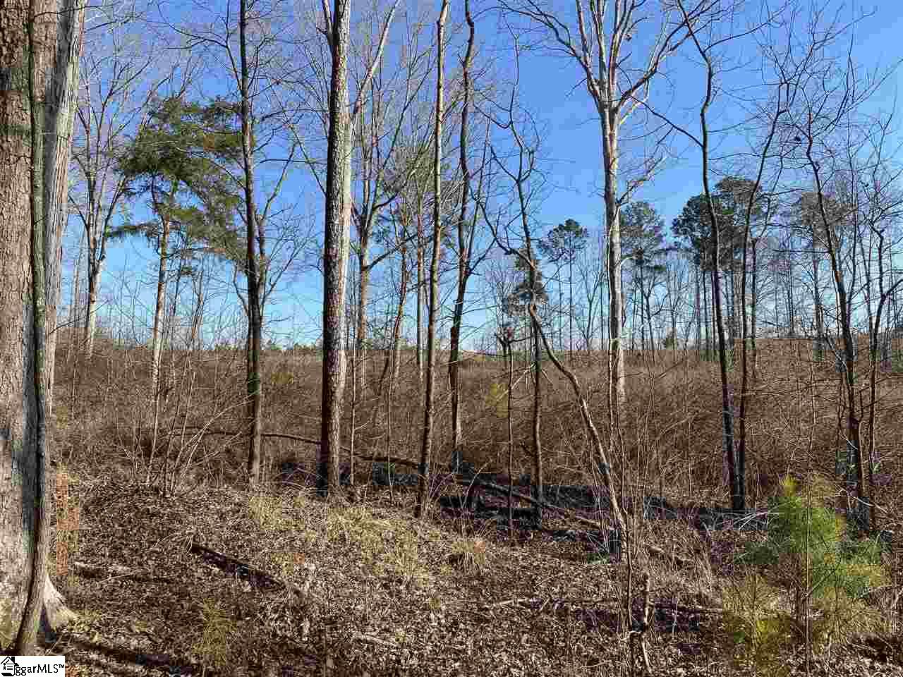 0 Hurricane Church Road Clinton, SC 29325 - Photo 23 of 27