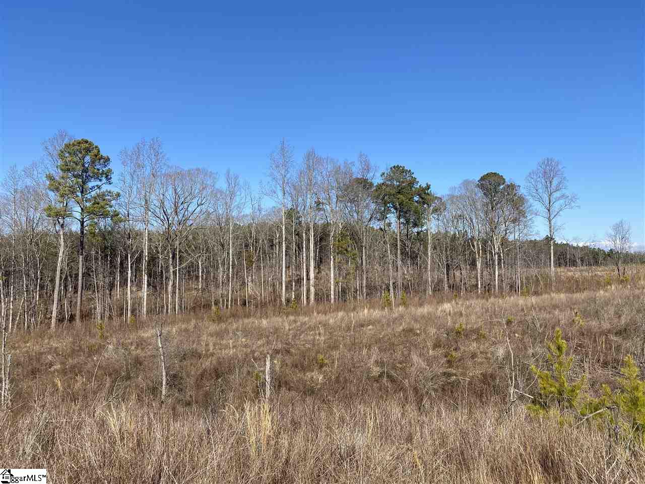 0 Hurricane Church Road Clinton, SC 29325 - Photo 4 of 27