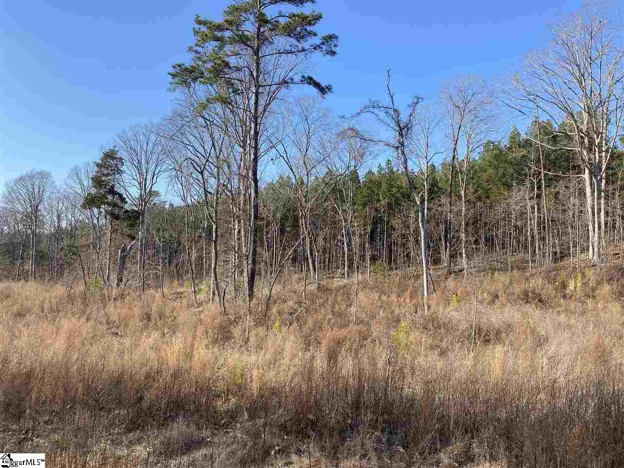 0 Hurricane Church Road Clinton, SC 29325 - Photo 7 of 27