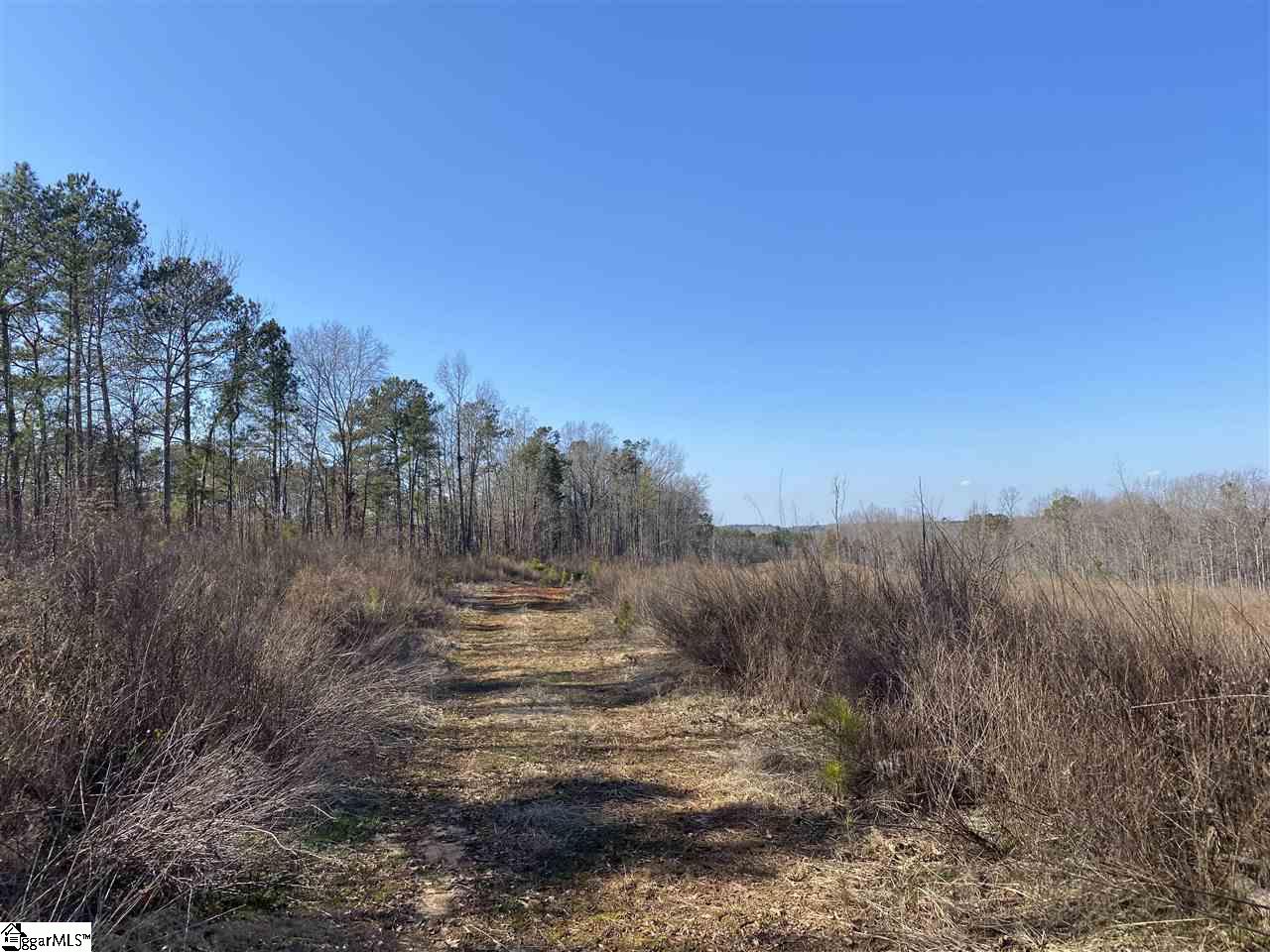 0 Hurricane Church Road Clinton, SC 29325 - Photo 10 of 27