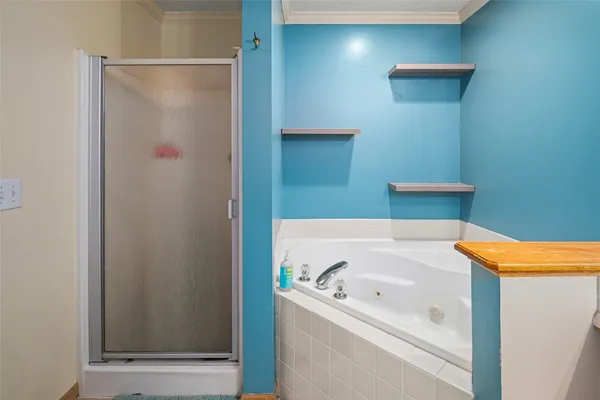 a bathroom with a tub and shower