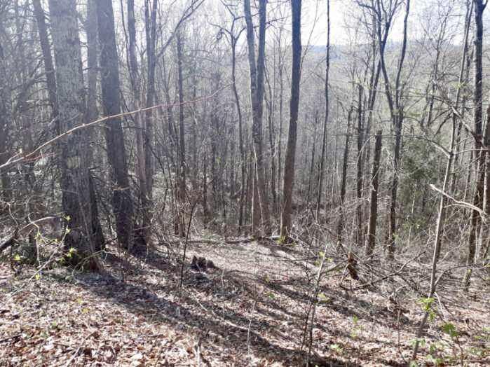 1 Heaton Branch Road Butler, TN 37640 - Photo 1 of 9 Resized_20220425_100739