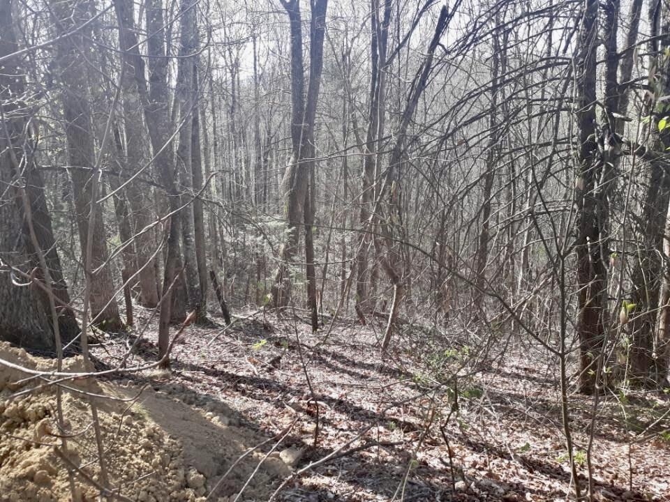 1 Heaton Branch Road Butler, TN 37640 - Photo 3 of 9 Resized_20220425_100719