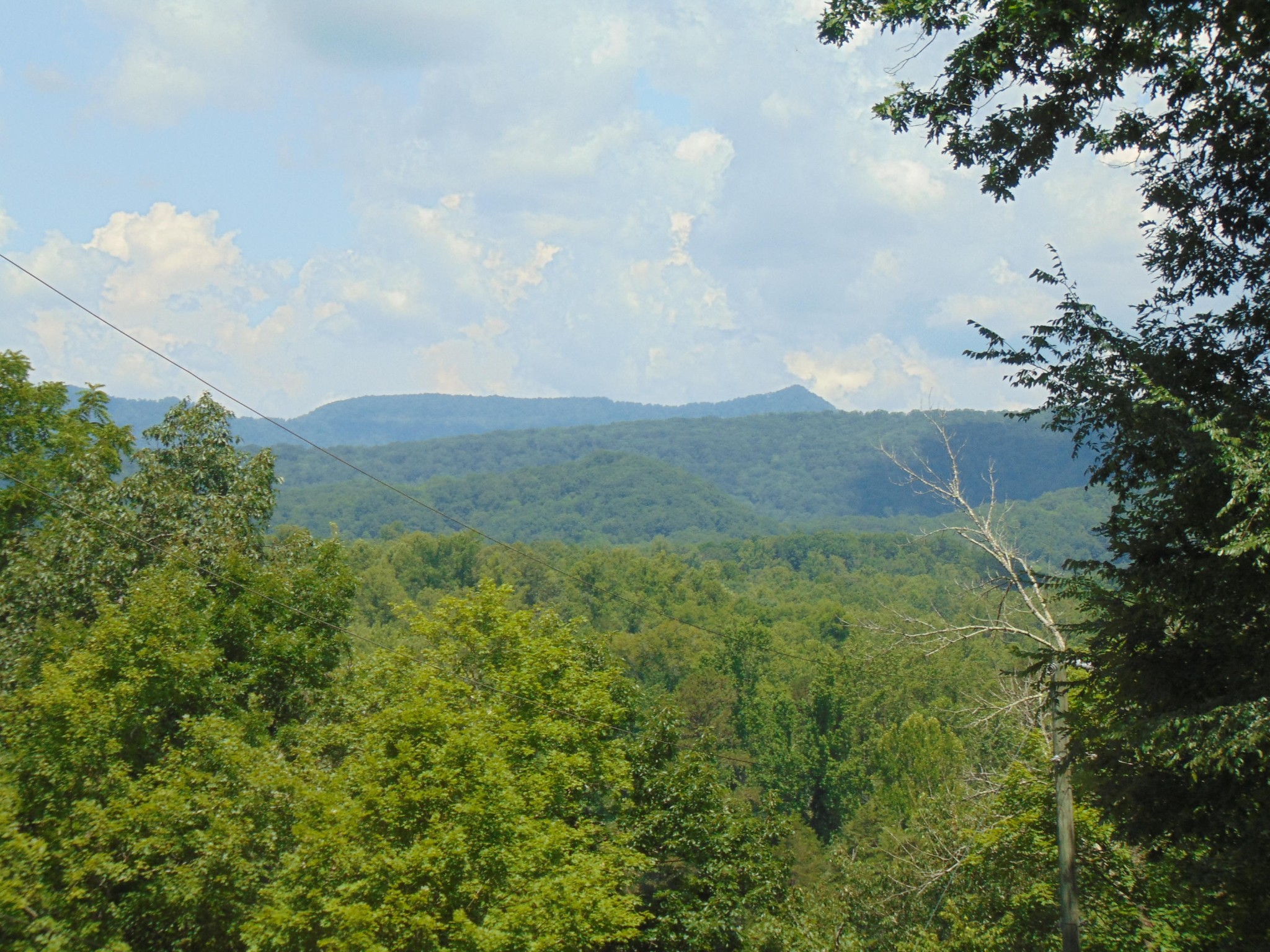 438 Bacon Springs Road Clinton, TN 37716 - Photo 20 of 35 Gallery Image 20