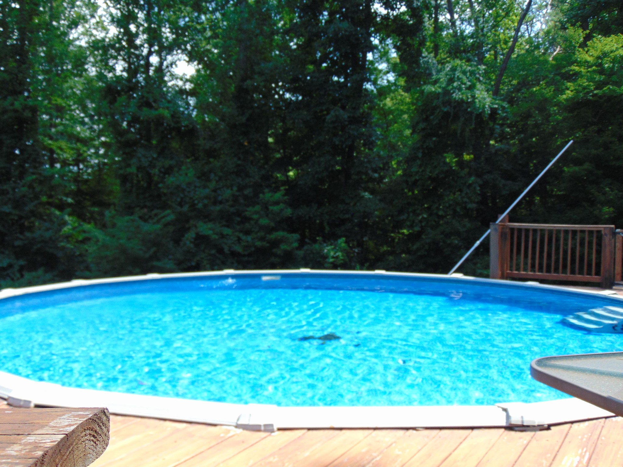 438 Bacon Springs Road Clinton, TN 37716 - Photo 24 of 35 Gallery Image 24
