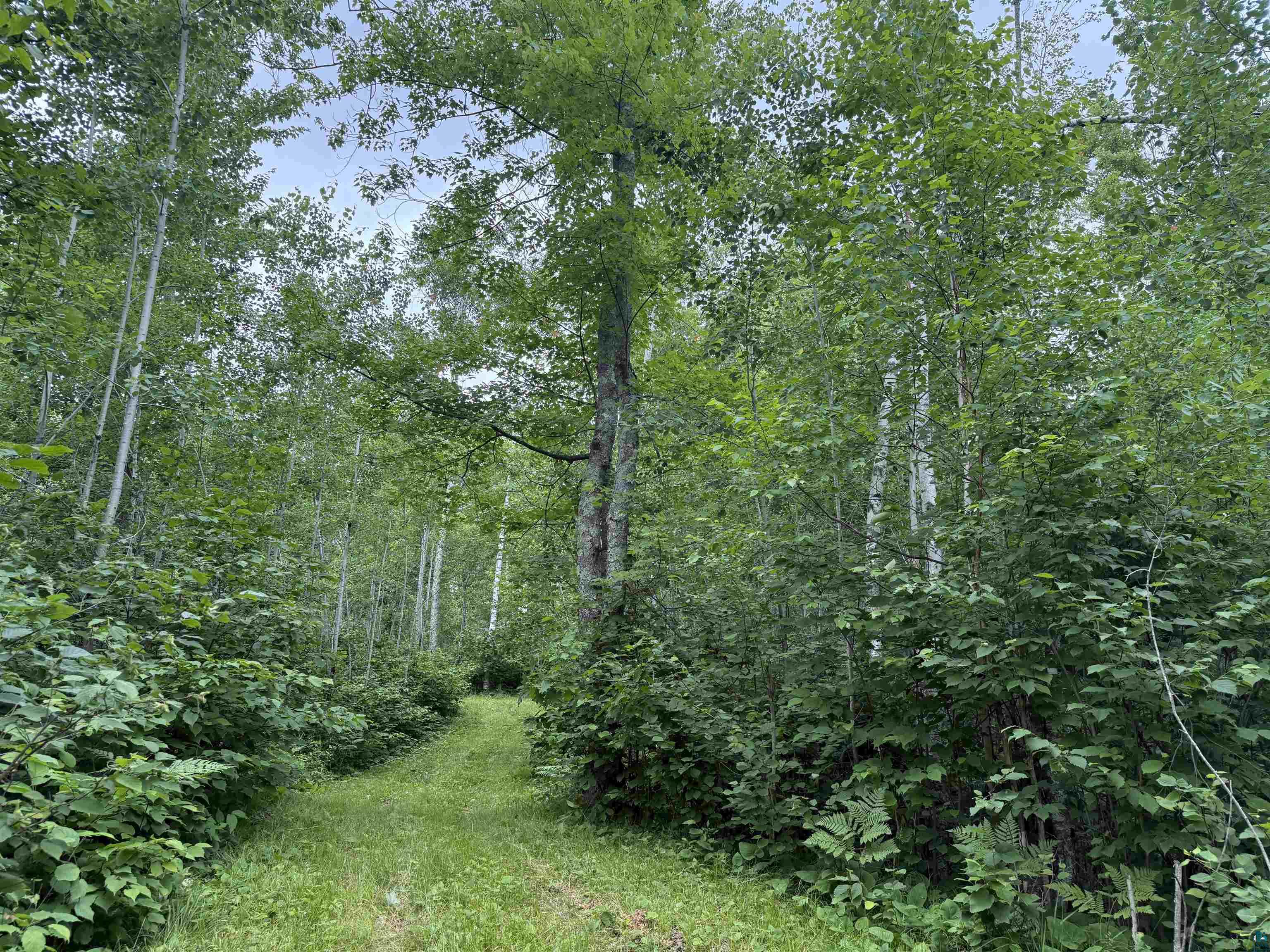 58059 Wolf Creek Road Sandstone, MN 55072 - Photo 2 of 31
