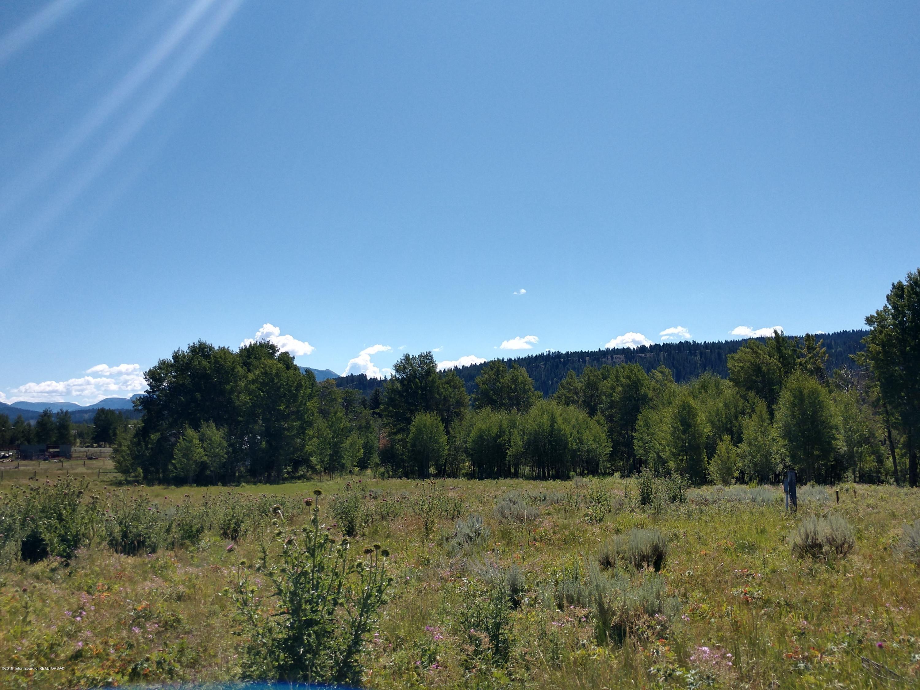 21820 Buffalo Valley Road Moran, WY 83013 - Photo 3 of 12 SE