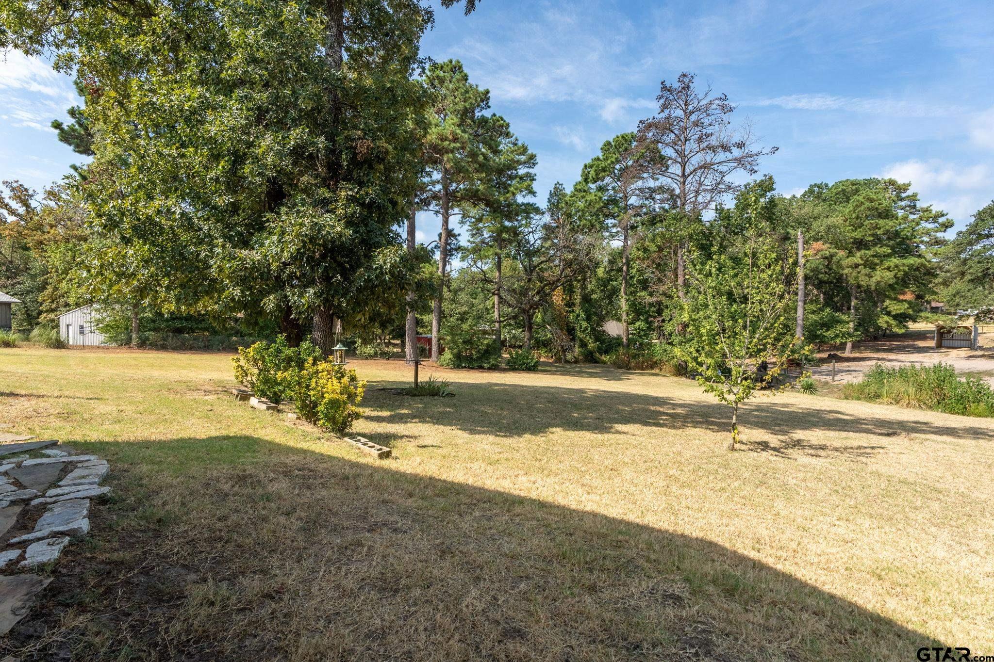 13402 County Road 1131 Flint, TX 75762 - Photo 26 of 31