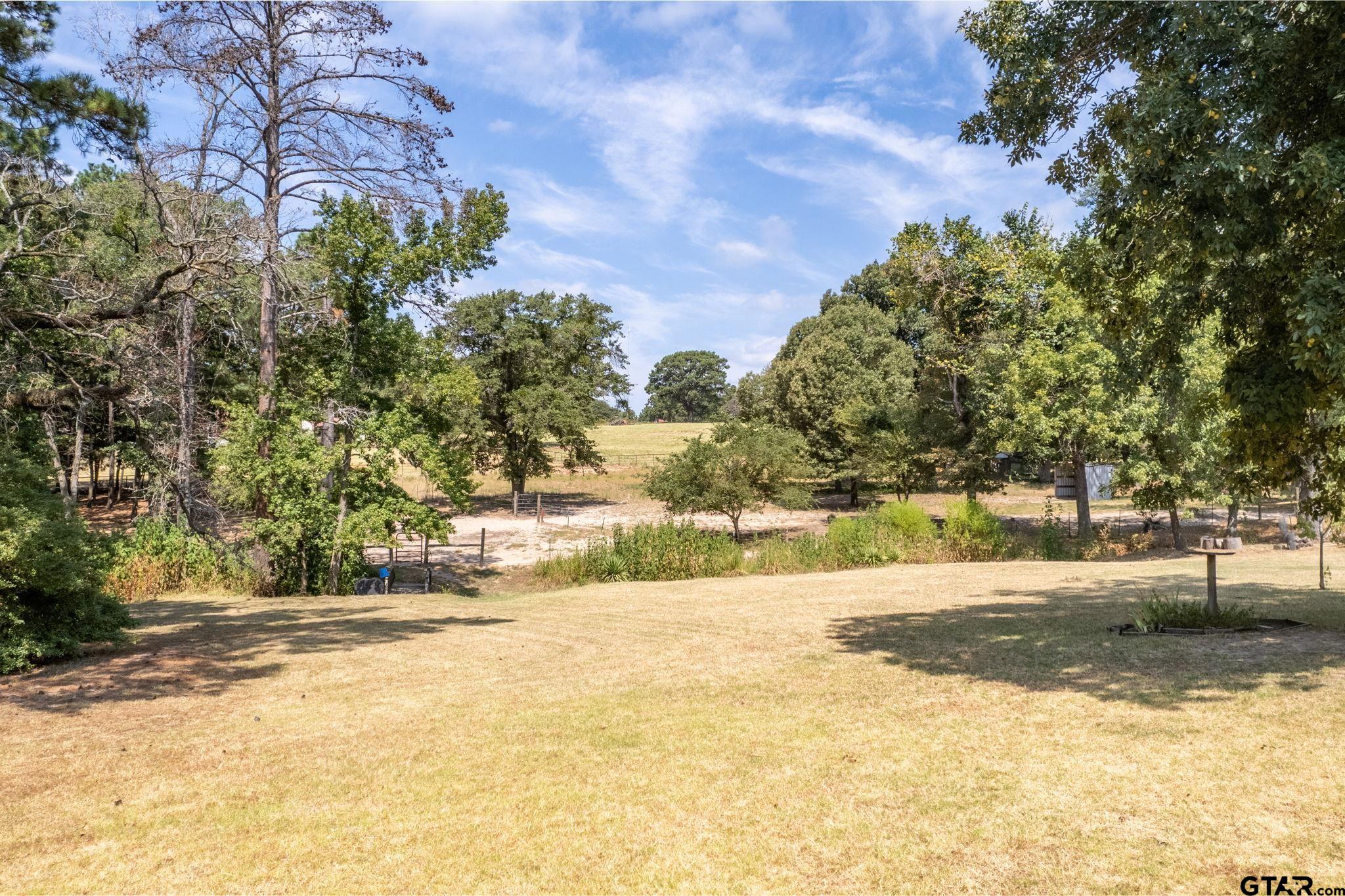 13402 County Road 1131 Flint, TX 75762 - Photo 28 of 31