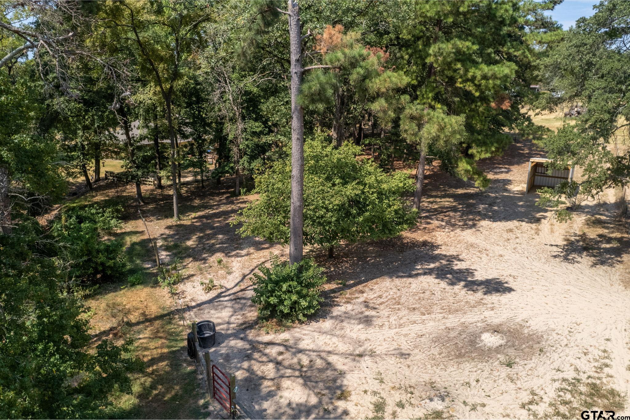 13402 County Road 1131 Flint, TX 75762 - Photo 29 of 31