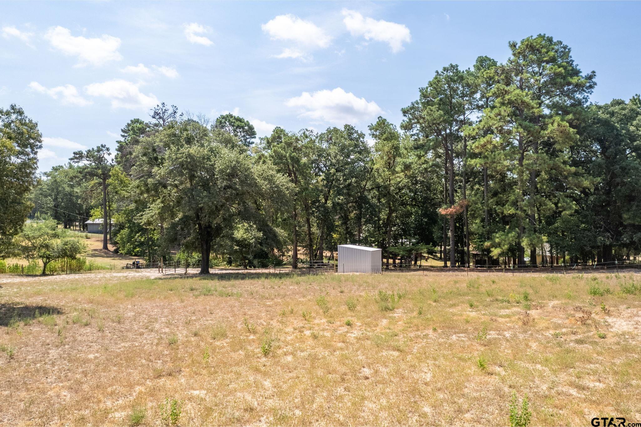 13402 County Road 1131 Flint, TX 75762 - Photo 31 of 31