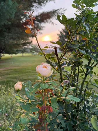 $580,000 | 8863 West PQ Avenue, Mattawan, MI 49071