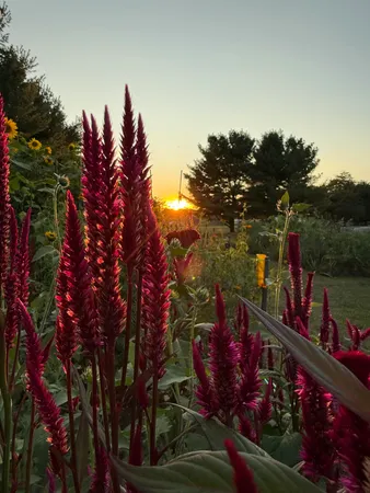 $580,000 | 8863 West PQ Avenue, Mattawan, MI 49071