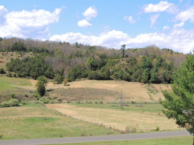 Tbd Locust Hill Road Max Meadows, VA 24360 - Photo 18 of 20 Gallery Image 18