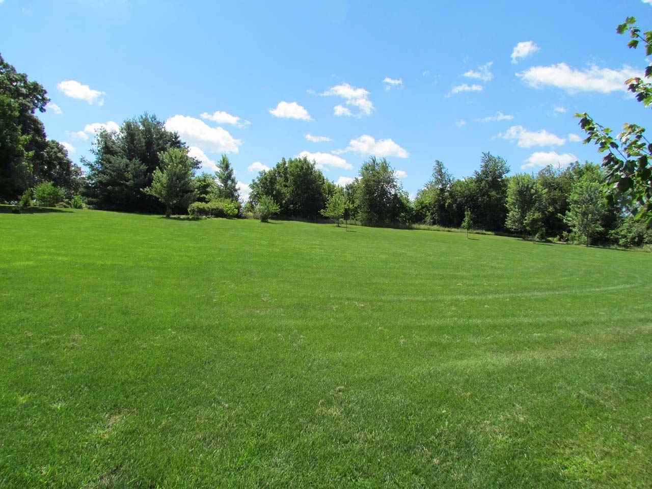 4571 East Marrill Road Byron, IL 61010 - Photo 23 of 25 a view of grassy field with trees