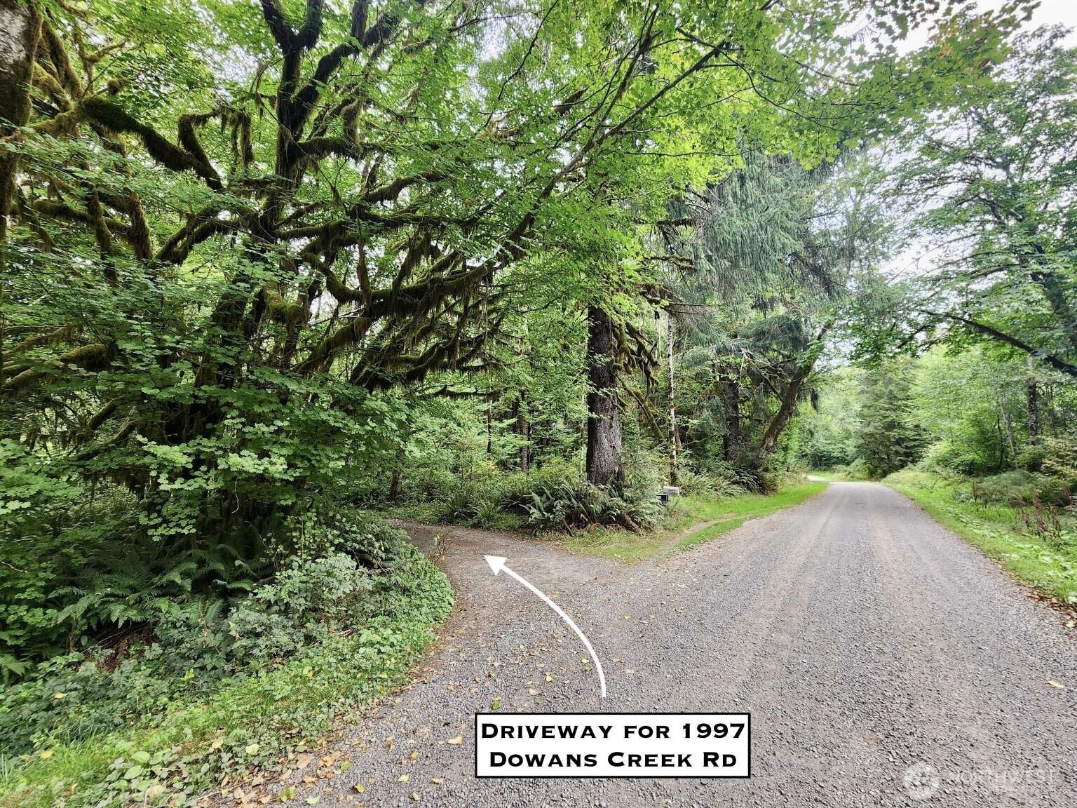 0 Dowan Creek Road Forks, WA 98331 - Photo 19 of 36