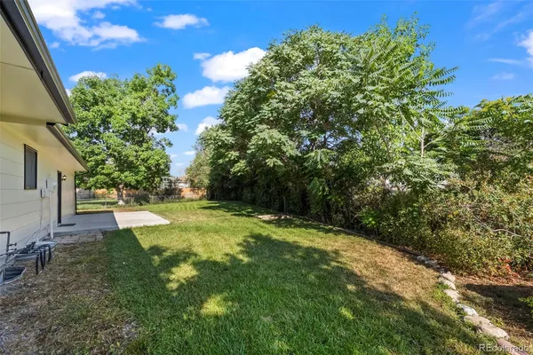 a view of a yard with plants and large trees