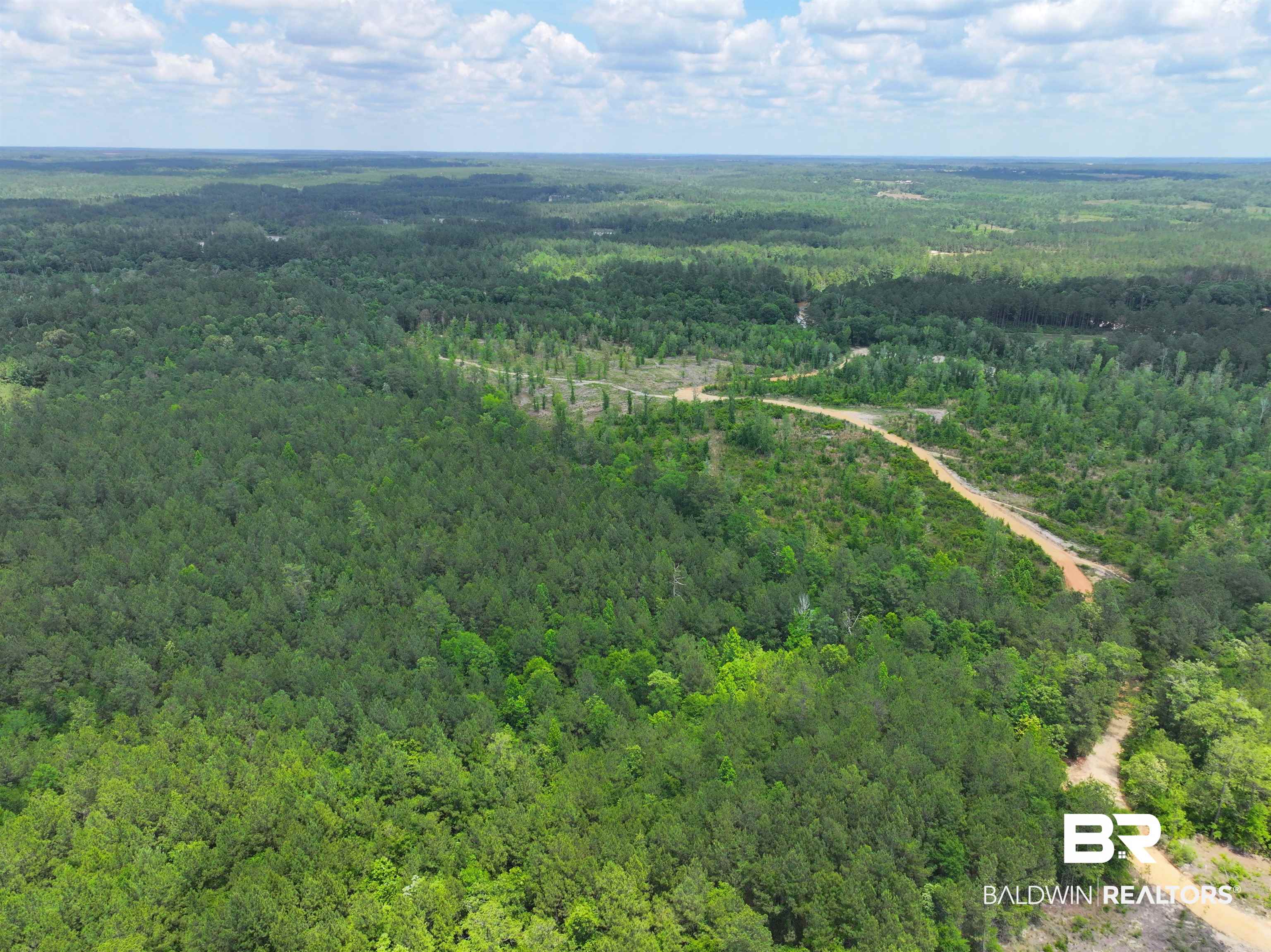 0 Sardis Church Road Atmore, AL 36502 - Photo 2 of 10