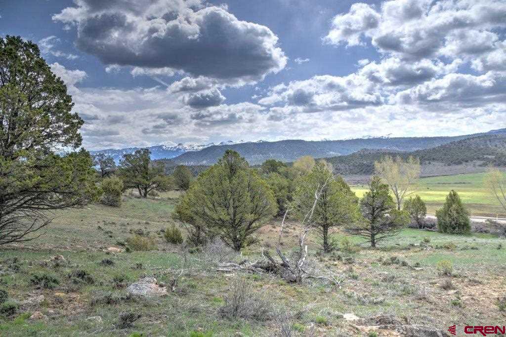 Lot 1 Last Stand Road Ridgway, CO 81432 - Photo 12 of 18