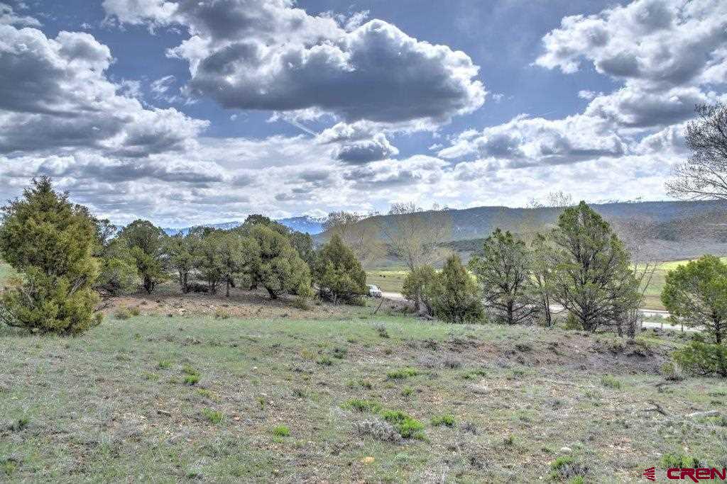 Lot 1 Last Stand Road Ridgway, CO 81432 - Photo 13 of 18