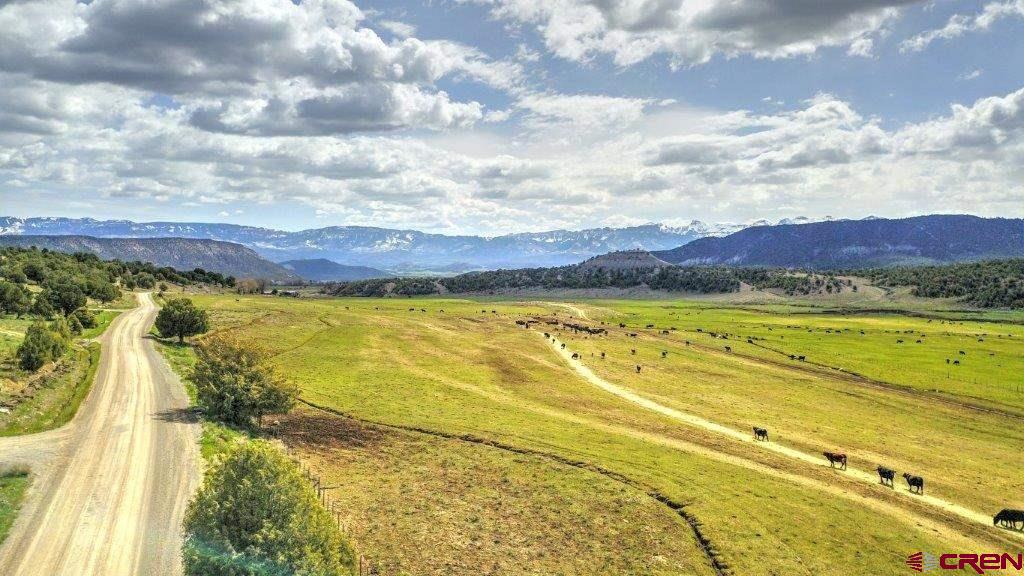 Lot 1 Last Stand Road Ridgway, CO 81432 - Photo 4 of 18