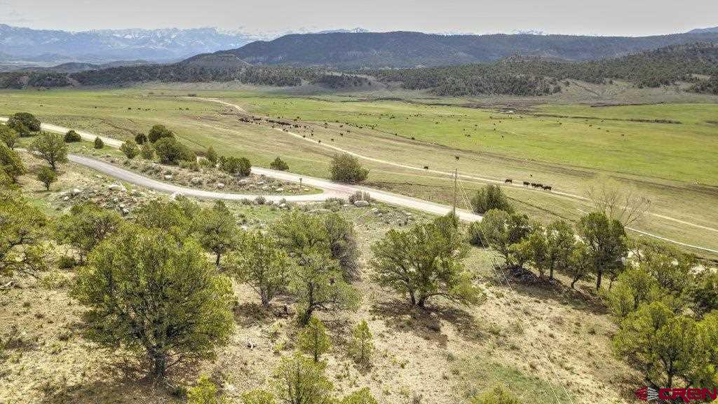 Lot 1 Last Stand Road Ridgway, CO 81432 - Photo 7 of 18