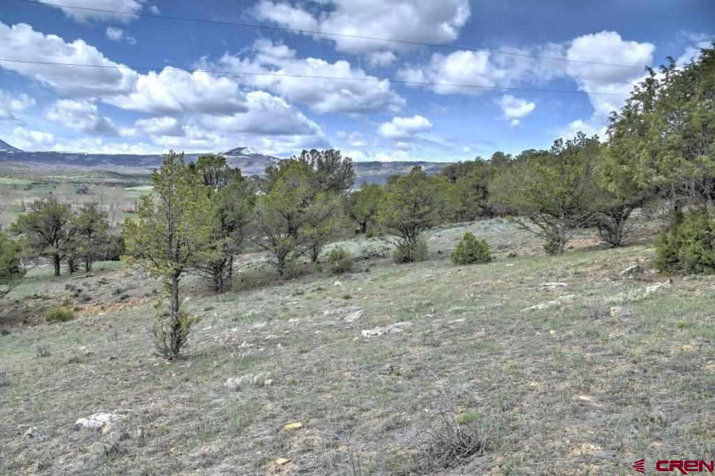 Lot 1 Last Stand Road Ridgway, CO 81432 - Photo 9 of 18
