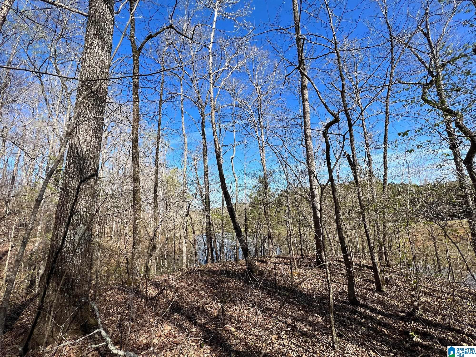 61 County Road, Unit 5 21 Roanoke, AL 36274 - Photo 2 of 9