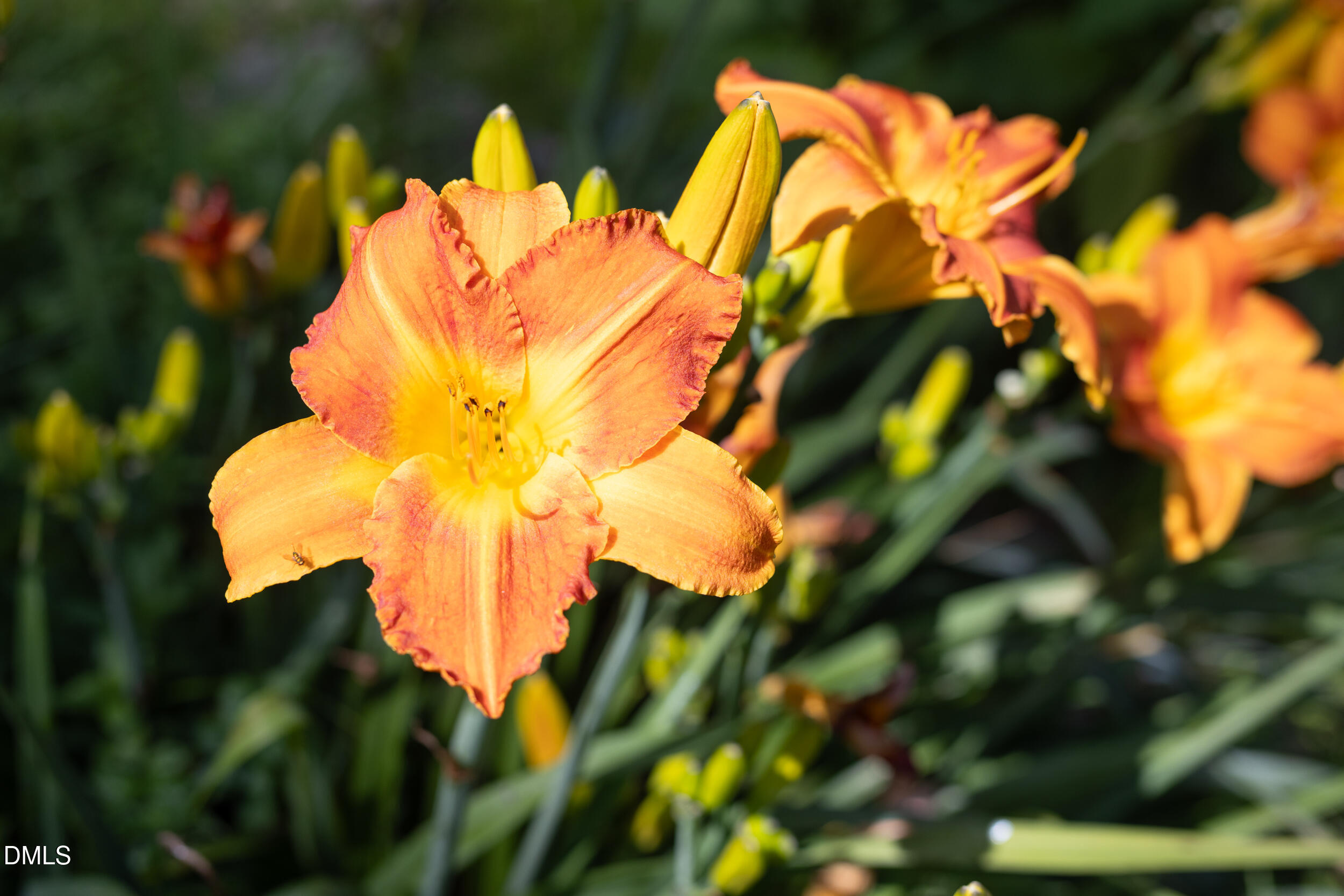 2502 Sevier Street Durham, NC 27705 - Photo 70 of 77 2502_Sevier_MLS-12