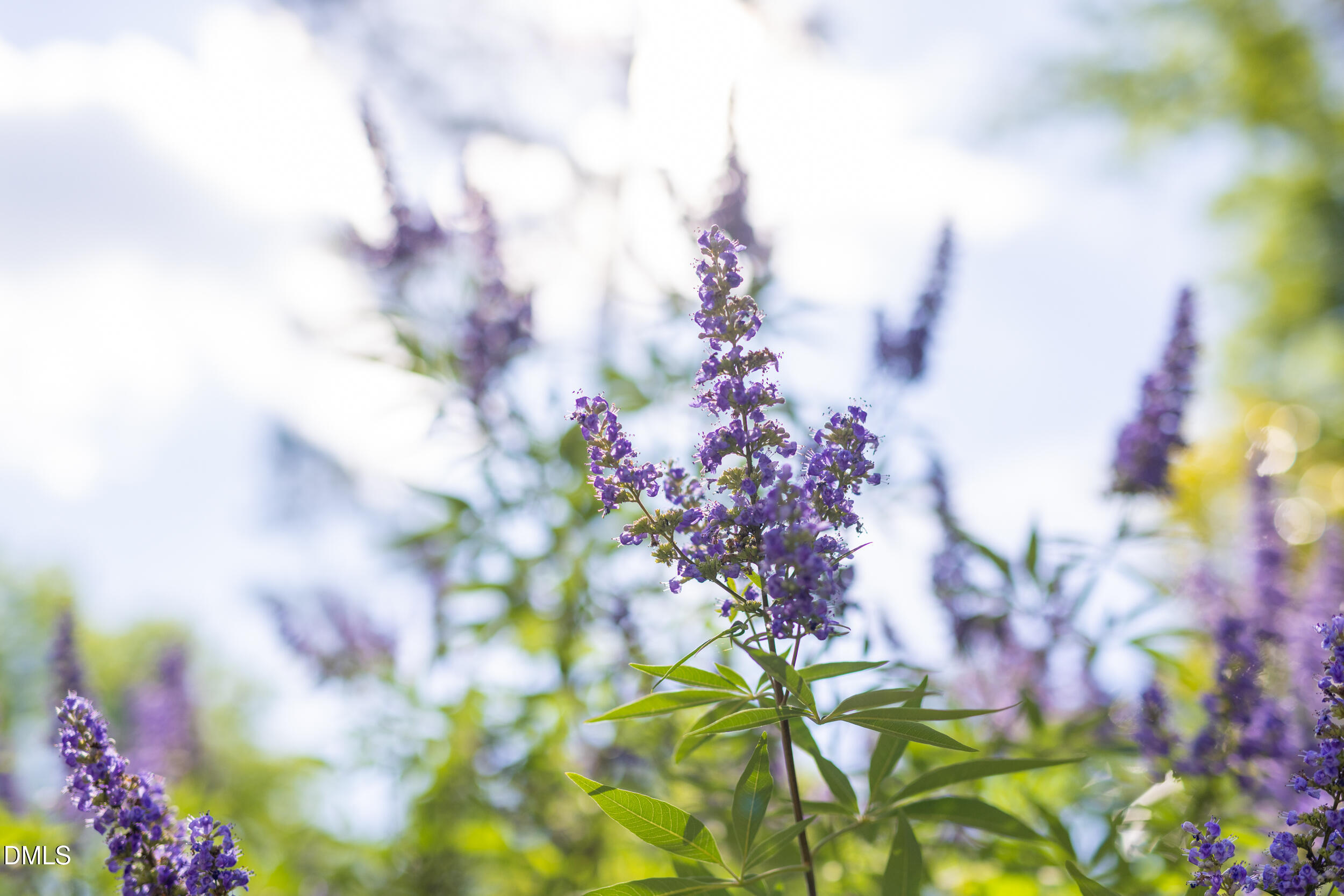 2502 Sevier Street Durham, NC 27705 - Photo 72 of 77 2502_Sevier_MLS-15