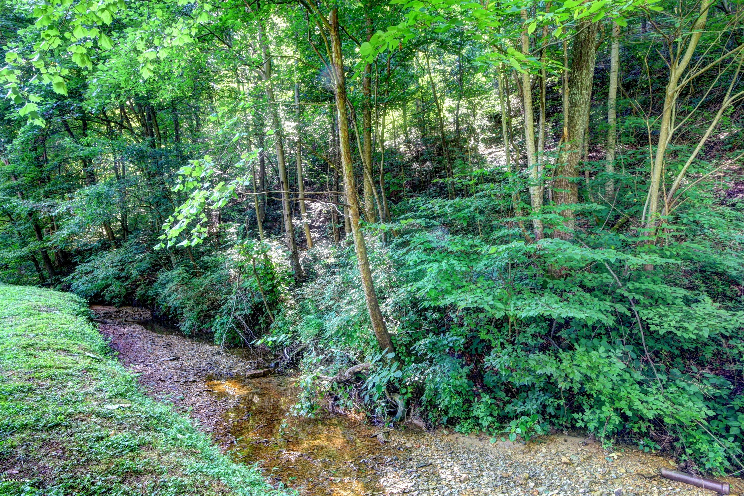 3050 Weavers Run West Point, KY 40177 - Photo 32 of 61 Creek borders the property
