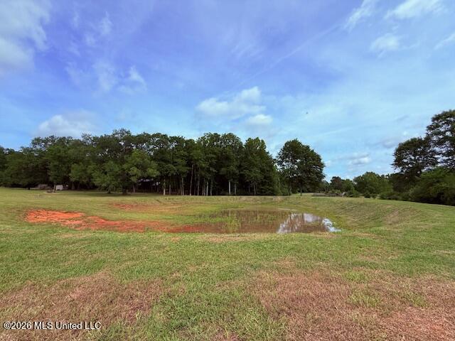 37 Fortenberry Road Tylertown, MS 39667 - Photo 42 of 83 IMG_3977